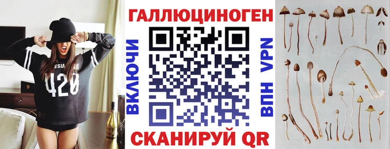 mega tor  даркнет сайт  Горбатов  Галлюциногенные грибы мицелий 